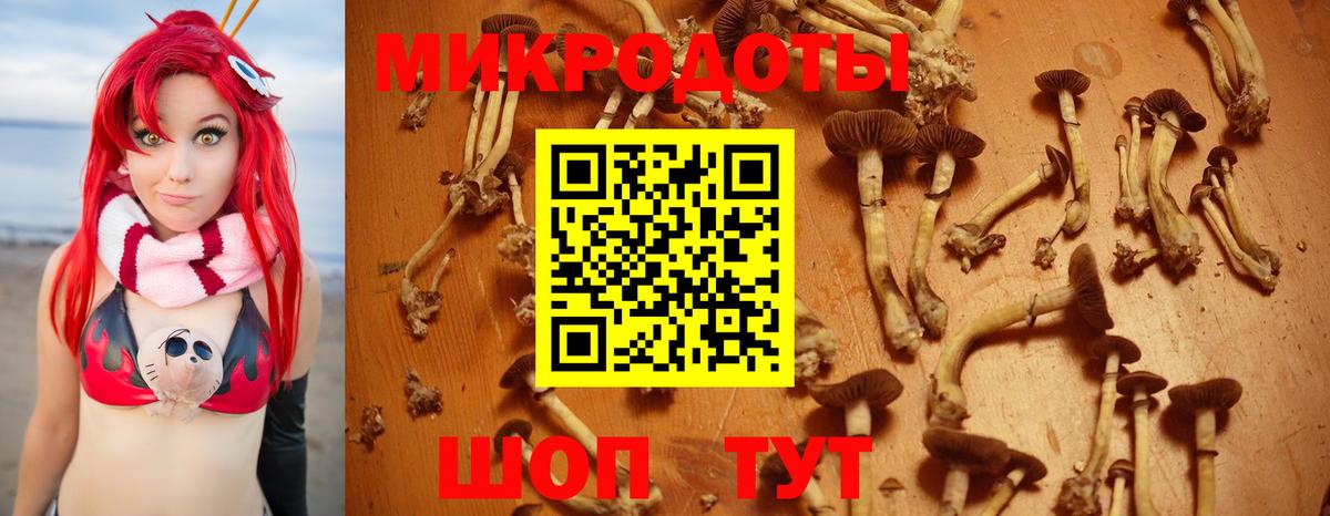 Галлюциногенные грибы Magic Shrooms  Вход с VPN  Новозыбков 