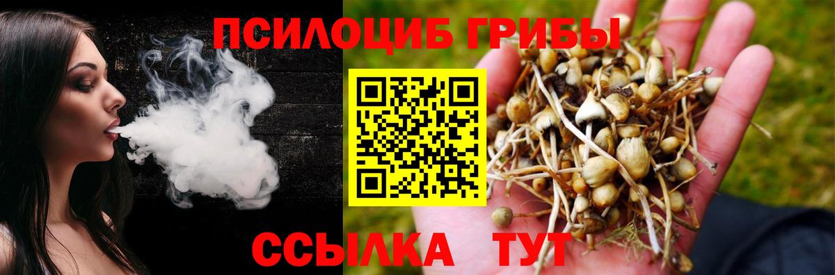 Галлюциногенные грибы Cubensis Новозыбков